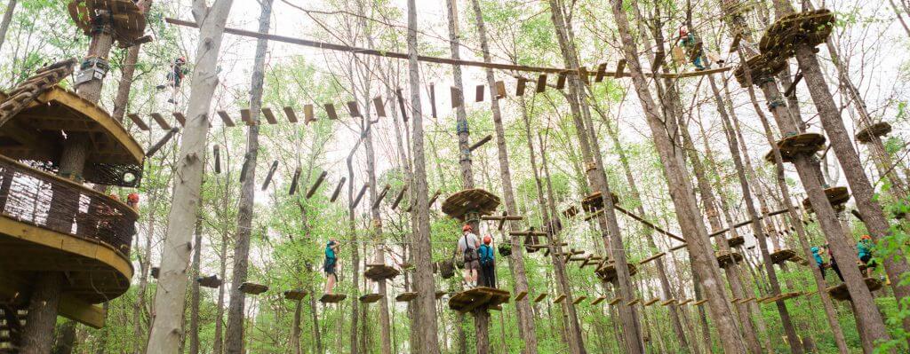 Tree-based adventure park at Ijams Nature Center