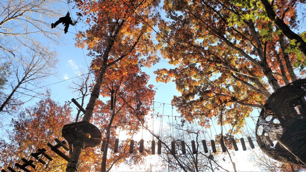 Autumn Canopy Adventure