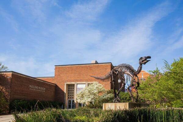 McClung Museum